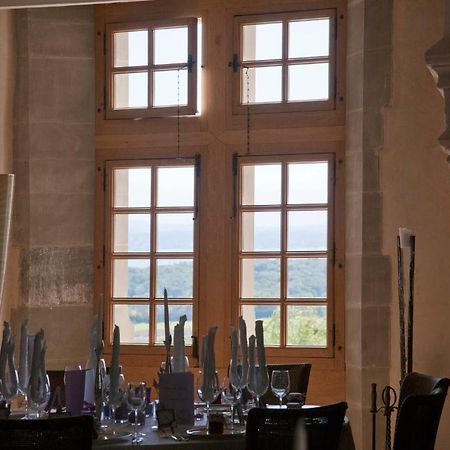 Chateau Le Rosey Nyon Exterior photo