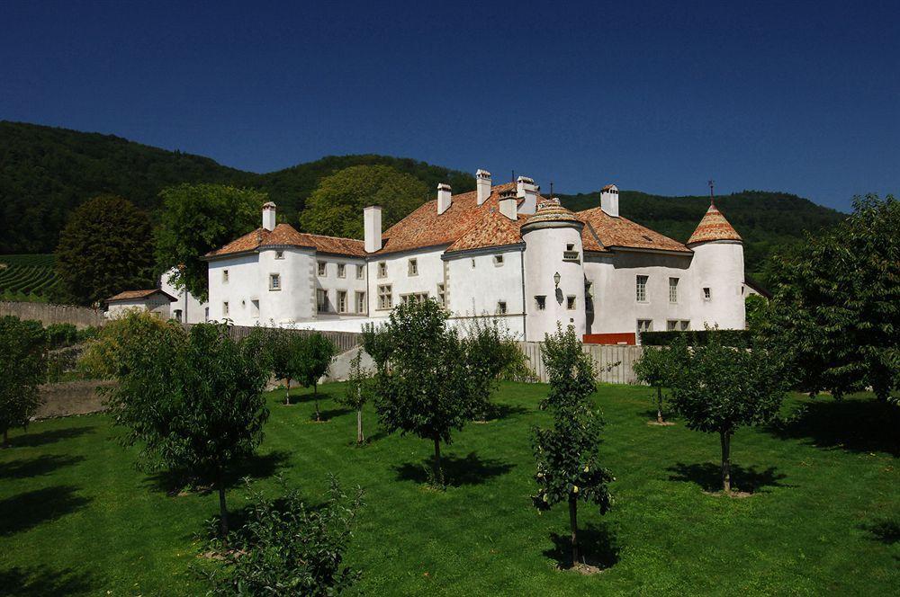 Chateau Le Rosey Nyon Exterior photo