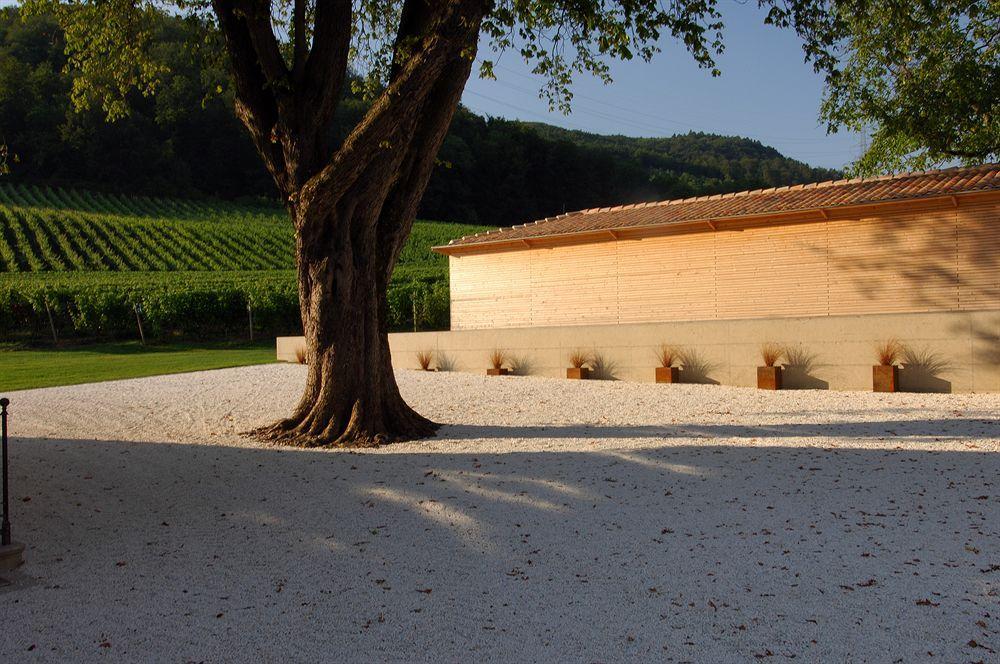 Chateau Le Rosey Nyon Exterior photo