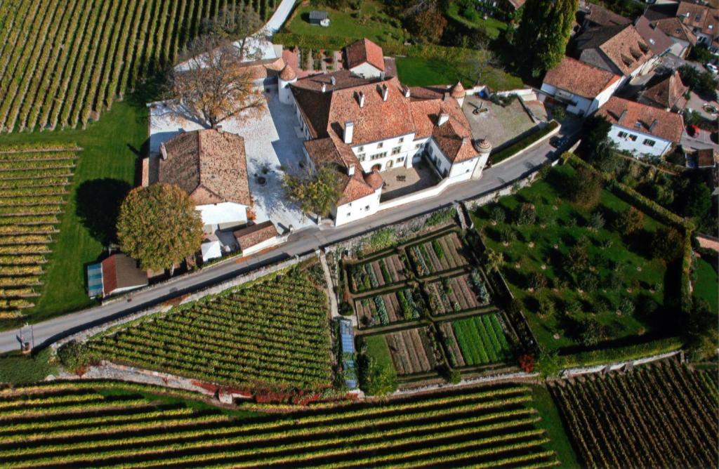 Chateau Le Rosey Nyon Exterior photo